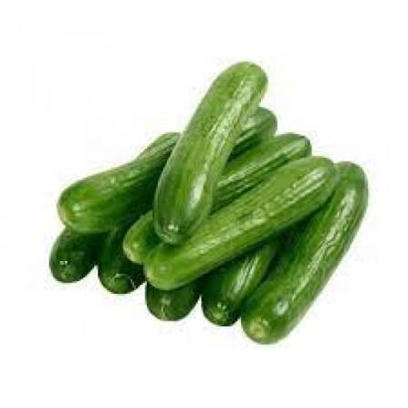 Cucumber