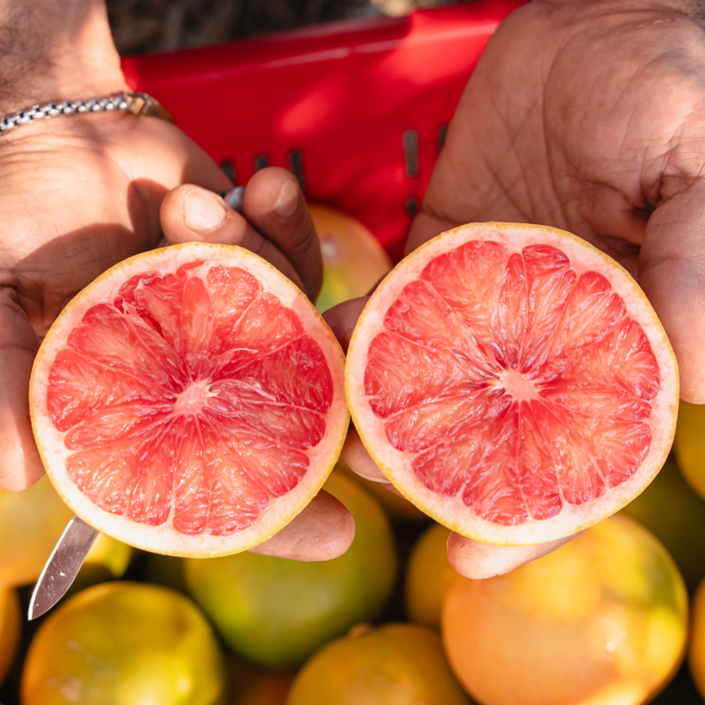 Grapefruit