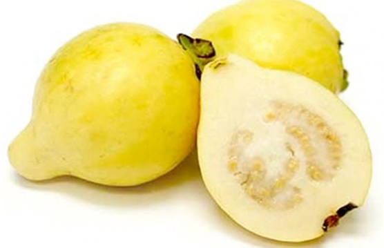 Guava