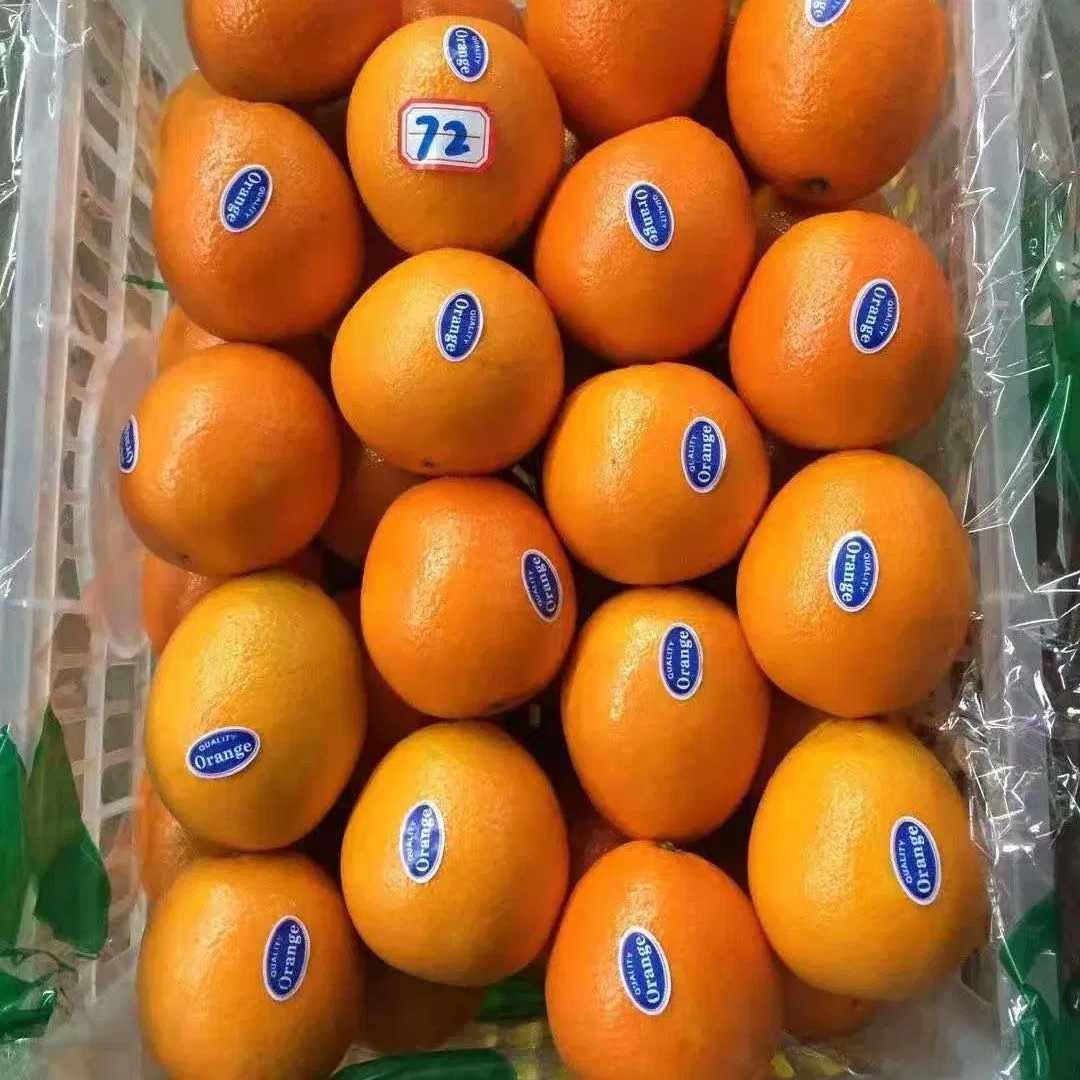 Valencia Orange